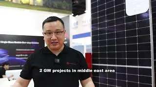 World Future Energy Summit for Jollywood in Abu Dhabi