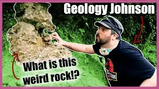 Jurassic Fossil Coral Reef in Oxford England