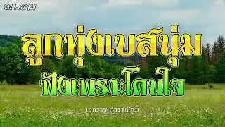 ลูกทุ่งเบสนุ่มฟังเพราะโดนใจ | เอกราช สุวรรณภูมิ ชุดที่ 3