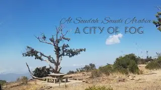Al SOUDAH Abha / AL SOUDAH SAUDI ARABIA/ TRIP to SOUDAH Blog Part1/ Soudah a City of FOG