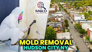 Best 24 HR Mold Removal & Mold Remediation Company Near Hudson City NY | 1-855-947-6167