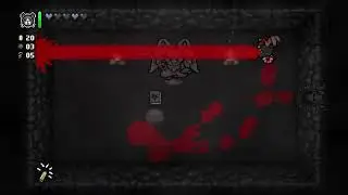 The Binding of Isaac: Rebirth Laser Barrage Fly Build
