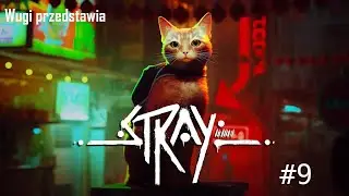 Stray PL#9 - Zostaliśmy zatrzymani