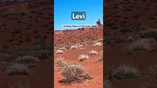 Levi playing at Valley of the Gods, Utah. Chiquita stayed quiet watching him #doglife#yorkie