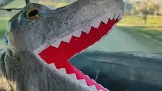 Davey Dinosaur goes to wildlife Safari