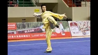 Men's Piguaquan 男子劈挂拳 第4名 甘肃队 于雷 8.90分 gan su yu lei