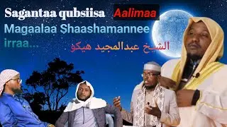 Sagantaa qubsiisa Aalimaa magaalaa Shaashamannee irraa gara Aanaa Saguree