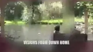 The Dolphins and Whales - A Vision From Down Home from the Vision Alignment Project