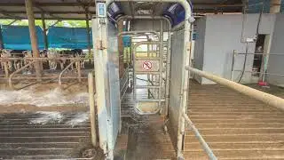 LOTE M02 - Liquida&ccedil;&atilde;o Total Coser Milk Farm - 25 de Outubro de 2025 | 14:00 Horas