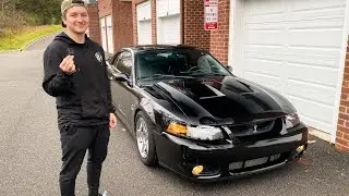 Taking Delivery of a CAMMED & WHIPPLE Terminator Cobra!! **23K MILES**
