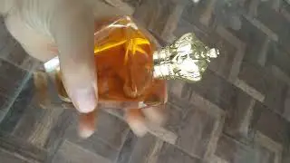 OUD ARABIA VOICE OF SOUL