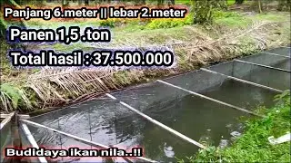 KERAMBA IKAN NILA❗BEGINI HASIL NYA || BUDIDAYA IKAN NILA