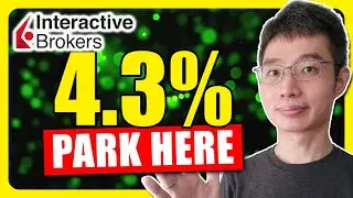 Top Places to Park Idle Cash in Interactive Brokers 2025