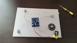 Ion detector