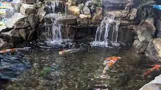 Just Another Dark Souls Remastered Stream