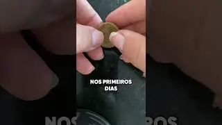 Como usar o LONGEVI?