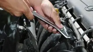Lipton Toyota | Service