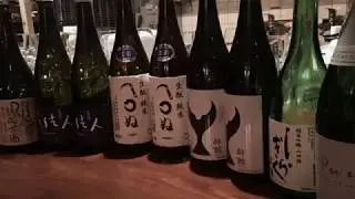 Sake & Food Pairing 101 (ish)