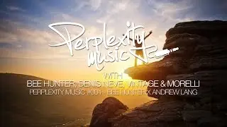 Perplexity Music #004 - Bee Hunter & Andrew Lang