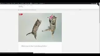 Add Images to X Theme's Gallery Post Format Image Slider and Reorder Them Using WP Attachments