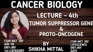 TUMOR SUPPRESSOR GENE AND PROTO-ONCOGENE - CANCER BIOLOGY CSIR-NET JRF LIFESCIENCE
