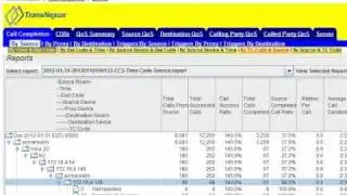 SDReporter: Call Completion Reports