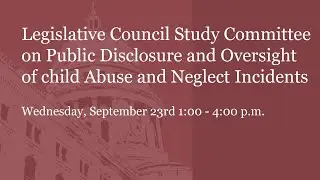 Study Committee on Public Disclosure & Oversight of Child Abuse & Neglect Incidents