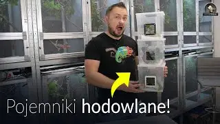 Rozmnożyłem GEKONY i przygotowałem im pojemniki hodowolane!