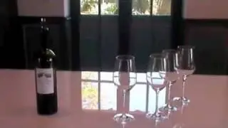 BWI visit Chateau Canon - Bordeaux En Primeur 2010