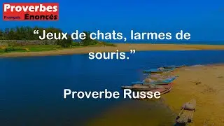 Proverbe Russe - Jeux de chats, larmes de souris.