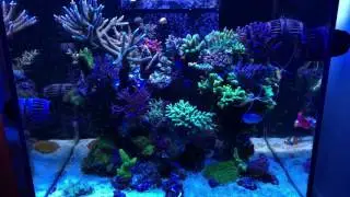 Red Sea Reefer 170