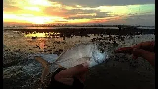 Mancing Casting Baby Giant Trevalley pantai Cipta Semarang - UL part 28