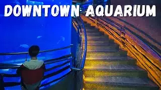 Houston Aquarium at night