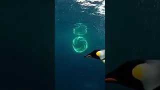 Ohh No !! Underwater Vlog Gone Wrong! 🌊😳 #IconsOfHindustan #memes #ai