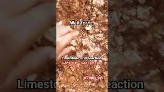 Acid on Limestone #shorts #acid #experiment #youtubeshorts #viral #shortvideo #rock #limestone #wow