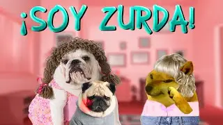 ABRO HILO - RELIGIOSA con DERECHO quiere que DEJE de ser ZURDA