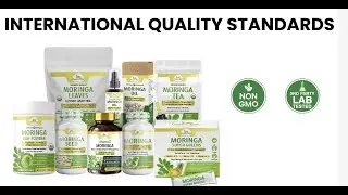 Organic Veda Moringa Powder | Natural Energy, Immunity & Daily Green Superfood