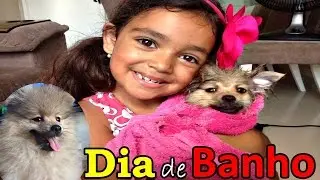 DIA DE BANHO DO PAÇOCA - EDUARDA FERRÃO