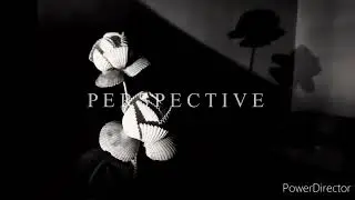 Perspective | Micro Short Film | Trailer | 2020
