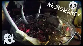 How I Clean & Consecrate Bones + Making Death Water 💀 Necromancy