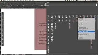Numbering & section Option using in indesign 2026