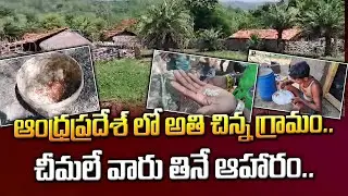 చీమలే వారు తినే ఆహారం.. | Smallest Village in AP | Tribal Village | SumanTv Culture