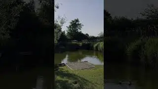 Nature #upholland #animals #duck #nature