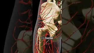 What Is Peripheral Neuropathy, Really?
