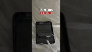 Spray Painting BLACK Ceiling? Rolling MORE SATISFYING! #shorts #painter #interiordesign