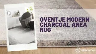 Oventje Modern Charcoal Area Rug