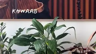 Saanch ft. Khwaab Ep 1 | I can&rsquo;t go on without you (live) by Kaleo #homeview #musicplaylist #vibes