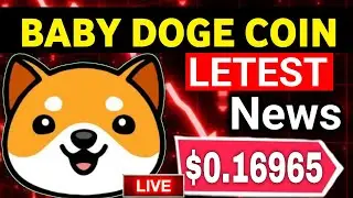 Baby doge Coin News Today || Baby doge Coin Price Update | Baby doge Coin 