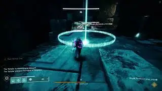 Destiny 2 VOG Master Templar - How to run relic with LFG