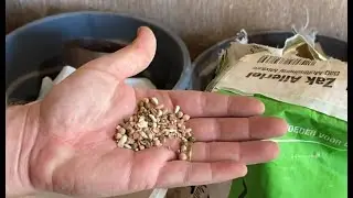 Лучшая смесь гравия для спортивных голубей